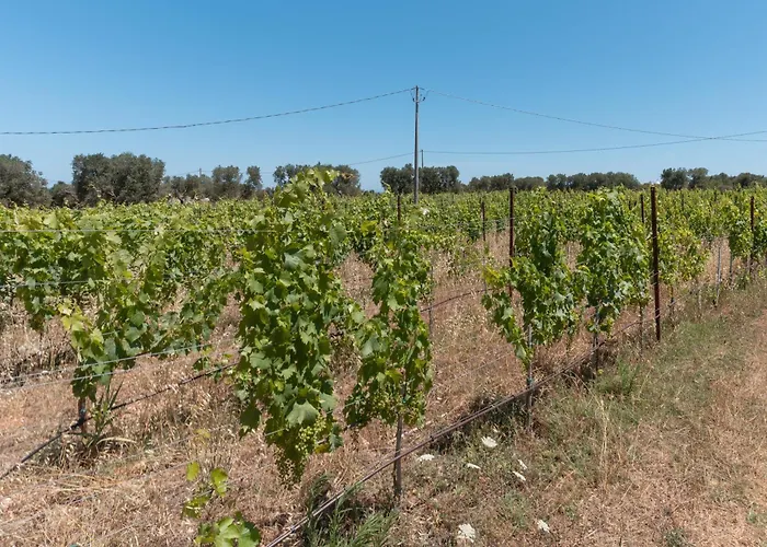 Trullo White Dream Con Piscina Villa Ostuni
