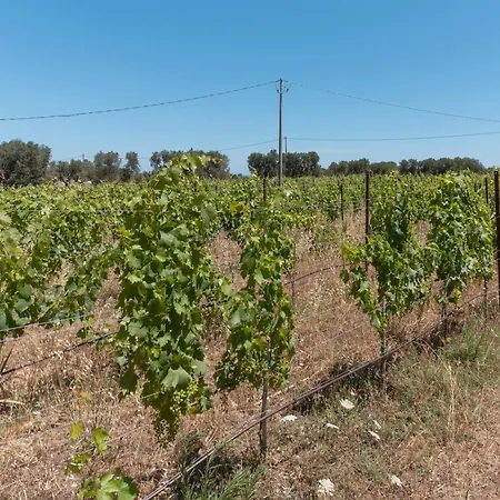 Trullo White Dream Con Piscina ヴィラ オストゥーニ